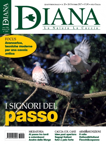 In Edicola Diana 20-2017