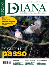 In Edicola Diana 20-2017