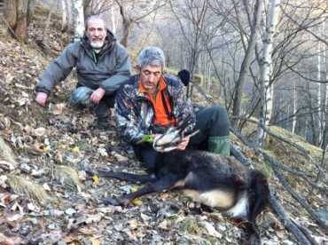270 Winchester
