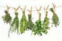 La farmacia della natura: erboristeria e aromaterapia