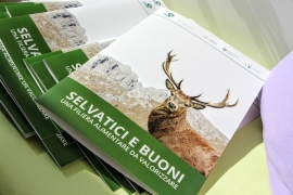 Fondazione UNA: &ldquo;Parte da Bergamo Selvatici e buoni&rdquo;