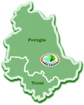Arci Caccia Umbria: su caccia di selezione a cervidi e bovidi dal Wwf l&rsquo;ennesima falsit&agrave;