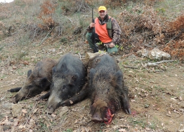 Battute al cinghiale nell&#039;AFV &quot;Montecalvo&quot;