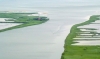 UFFICIO AVIFAUNA FIDC: DELTA DEL PO: CUSTODIRE L&rsquo;AMBIENTE MANTENENDO LA BIODIVERSIT&Agrave;