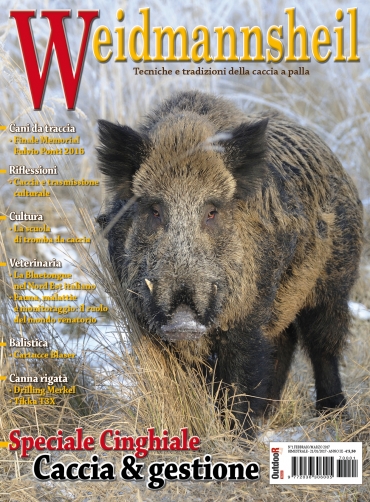 In Edicola Weidmannsheil 1-2017