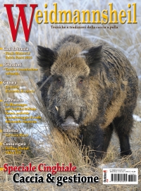 In Edicola Weidmannsheil 1-2017