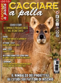 CACCIARE A PALLA  Aprile 2018