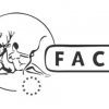 Face news