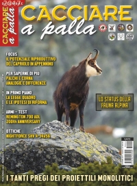CACCIARE A PALLA  Dicembre 2017