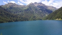 I seri problemi dell&#039;OIPA del Trentino