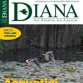 In Edicola Diana 12 -2017