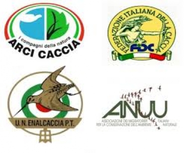 Dalla Fenaveri un concreto supporto all'inserimento del colombaccio tra le specie oggetto di preapertura