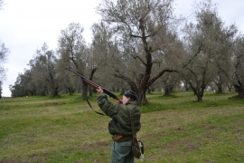 In attesa dei Tordi&hellip; A Canino