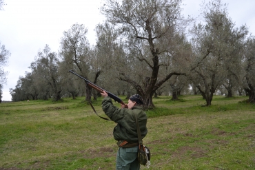 In attesa dei Tordi… A Canino