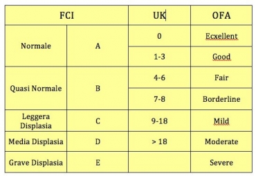 La classificazione della displasia dell'anca