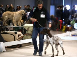 LA CINOFILIA PROTAGONISTA AD HUNTING SHOW SUD