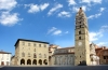 Arci Caccia Pistoia e ANLC Pistoia: Al pi&ugrave; presto le modifiche di legge che consentano di ridurre i danni