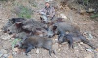 Come migliorare la carabina da cinghiale - 1 parte
