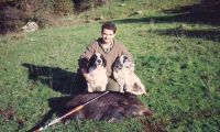 CACCIA AL CINGHIALE IN MAREMMA: “Tra poco inizia la battuta, possibilmente potreste evitare di tirare a pallettoni?”