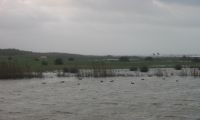 A caccia di acquatici nella Maremma Laziale 1 Parte