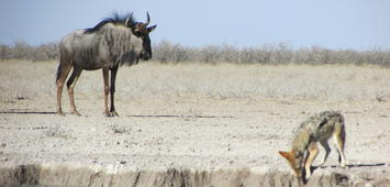 Botswana