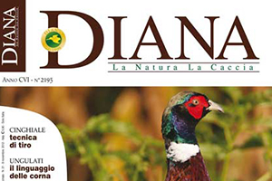 L'Angolo Di Diana